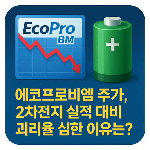 에코프로비엠 주가 2차전지 실적 대비 괴리율 심한 이유는